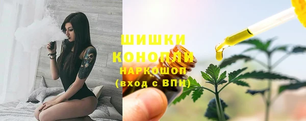 ПСИЛОЦИБИНОВЫЕ ГРИБЫ Аркадак