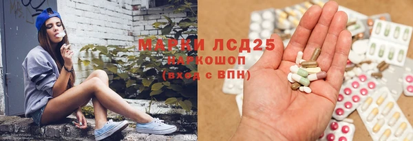ПСИЛОЦИБИНОВЫЕ ГРИБЫ Аркадак