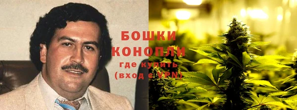 ПСИЛОЦИБИНОВЫЕ ГРИБЫ Аркадак